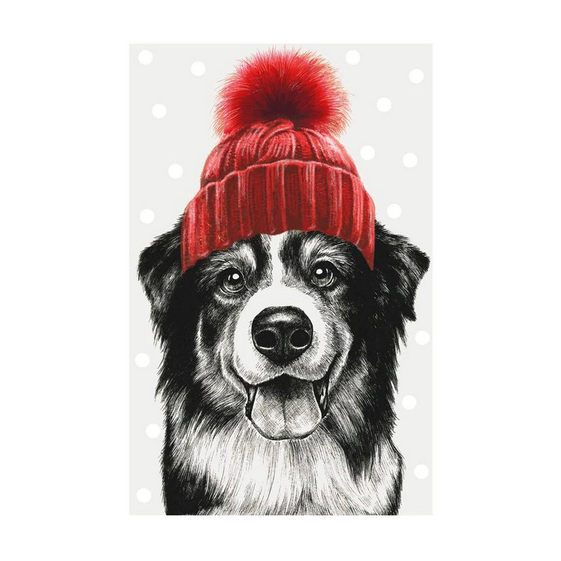 Art File Border Collie With Bobble Hat Christmas Card ISX07 front