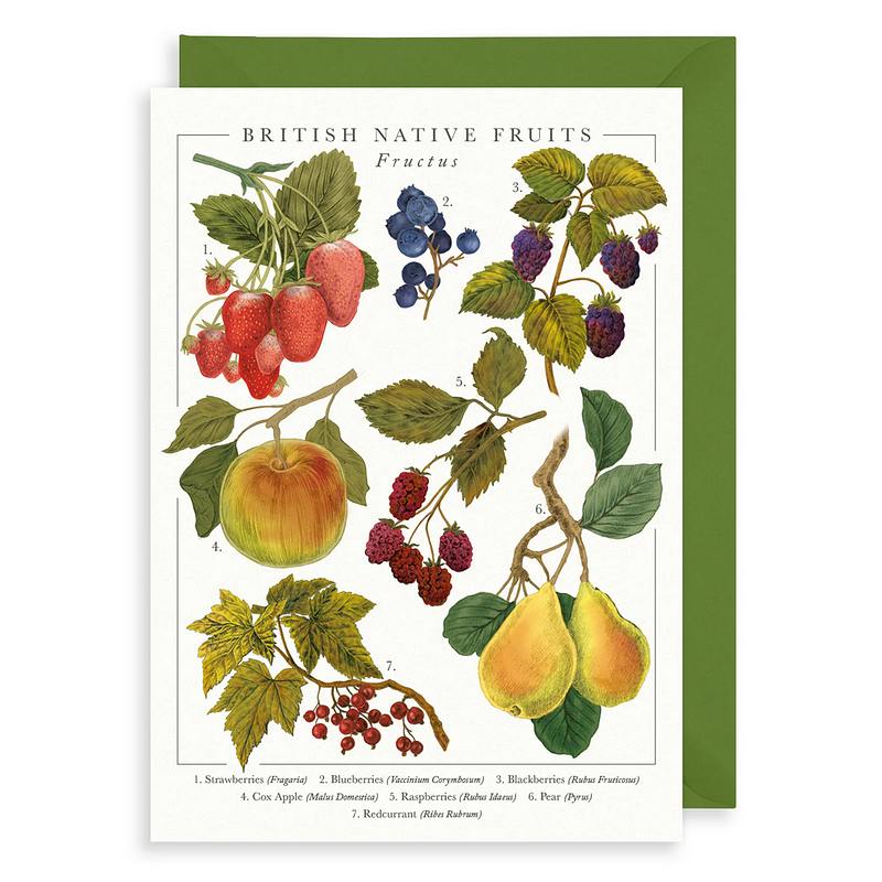 Art File British Native Fruits Greetings Card NP04 front