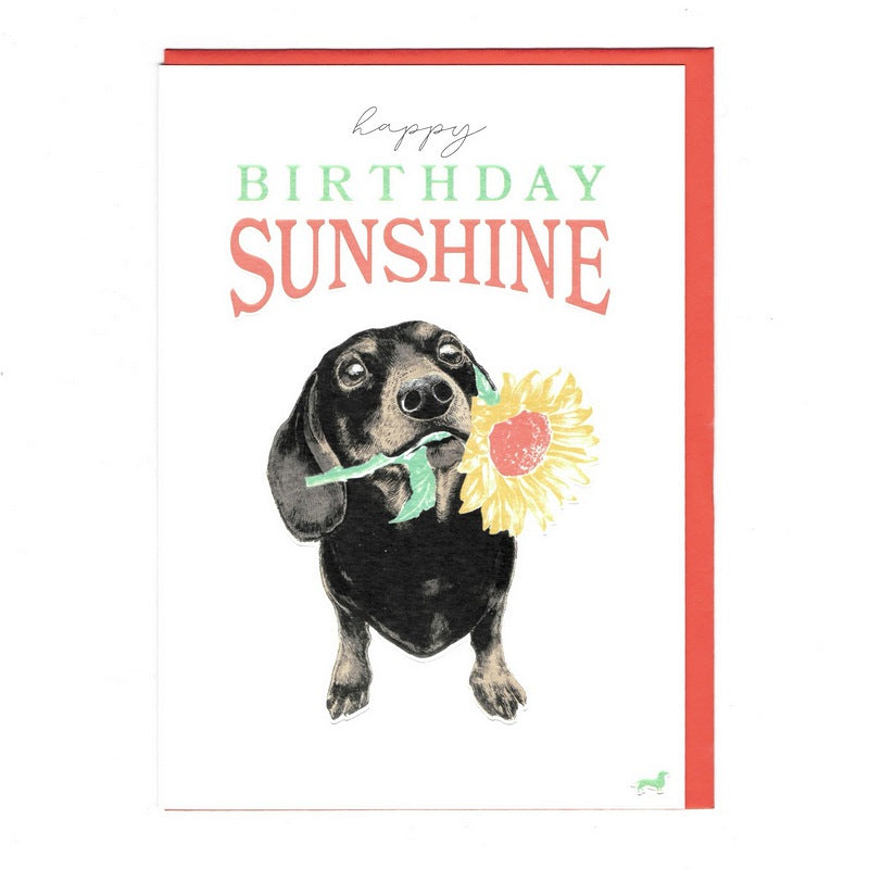 Art File Frank Happy Birthday Sunshine Card FK09 front
