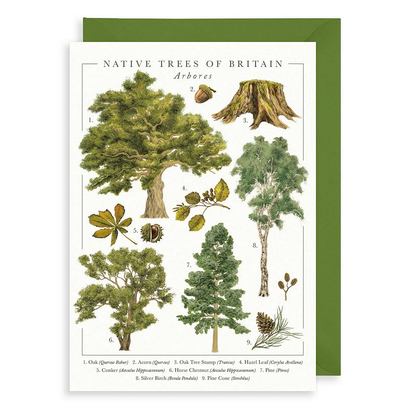 Art File Native Trees of Britain Greetings Card NP01 front