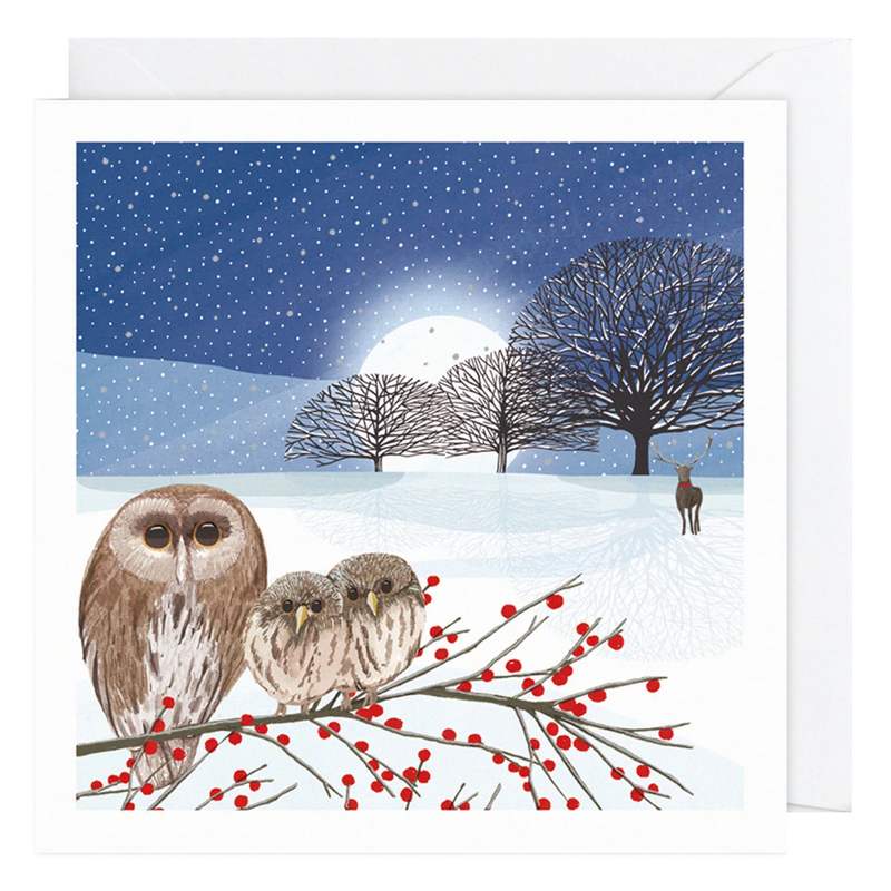 Art File Xmas Cards 10 Pack Pheasants & Owls In Snow WAX104 owls with envelope