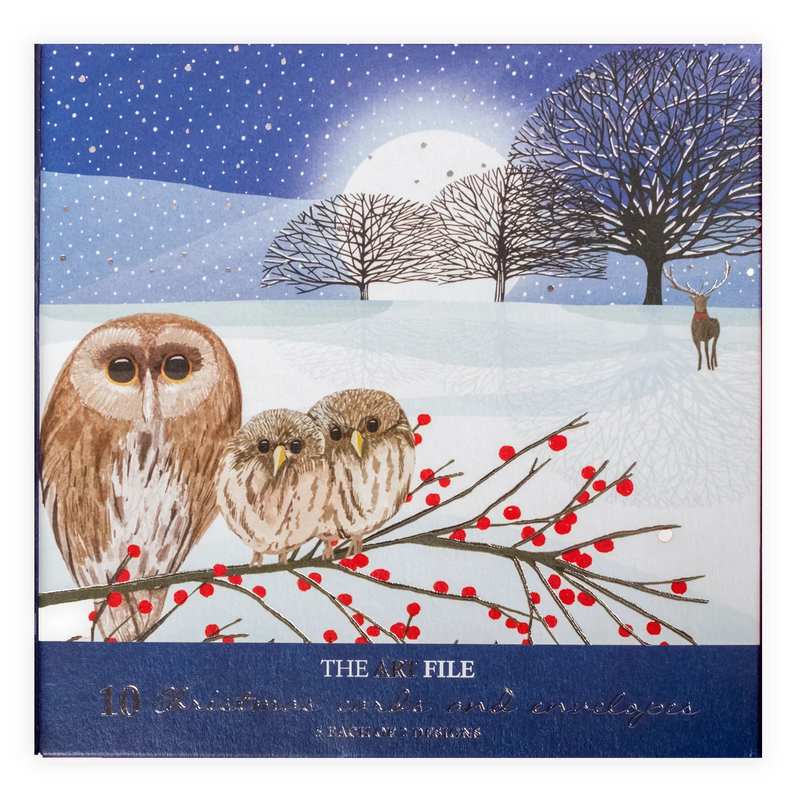 Art File Xmas Cards 10 Pack Pheasants & Owls In Snow WAX104 owls
