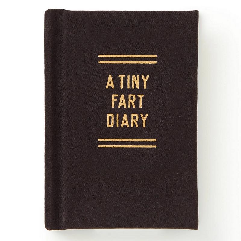 Brass Monkey A Tiny Fart Diary front