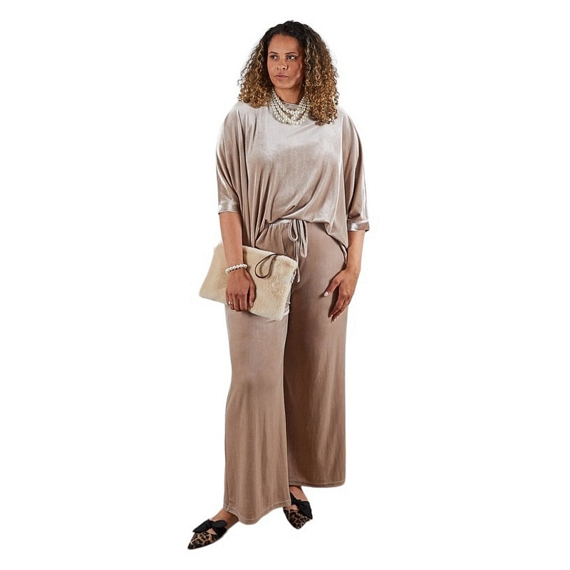 Chalk Clothing Erin Velour Top in Champagne One Size on model front