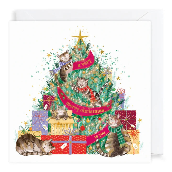 Charity Christmas Cards Pack Cats in Christmas Tree XP429 card front