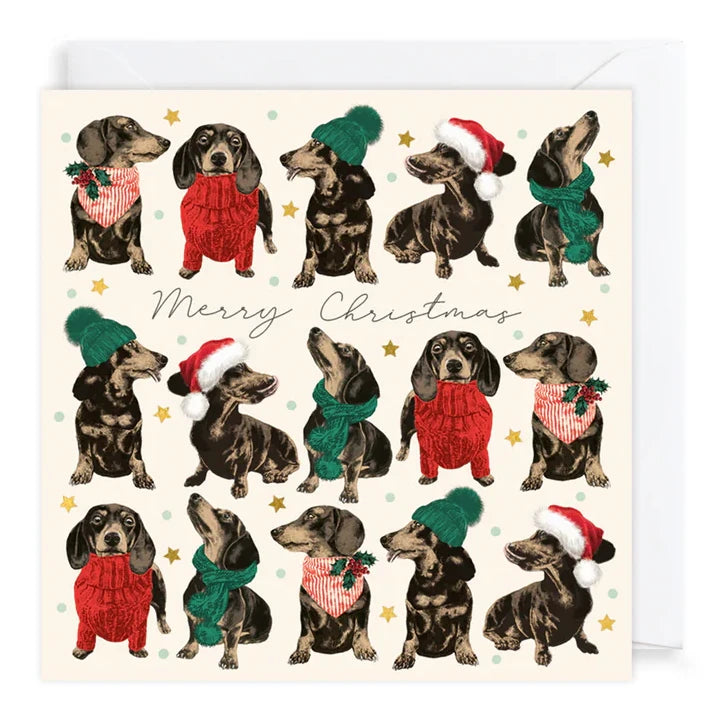 Charity Christmas Cards Pack Frank in Sweaters XP426 card front