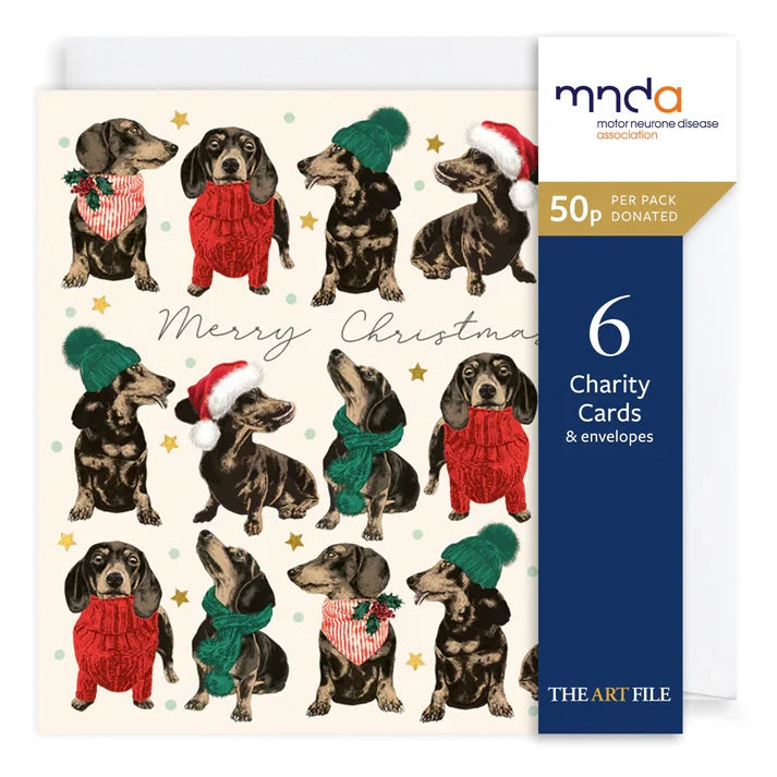 Charity Christmas Cards Pack Frank in Sweaters XP426 pack front
