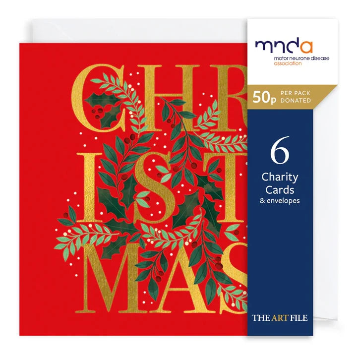 Charity Christmas Cards Pack Gold Christmas Text on Red XP425 pack front