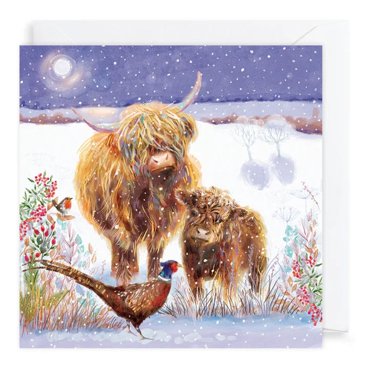 Charity Christmas Cards Pack Highland Cows XP435 card front