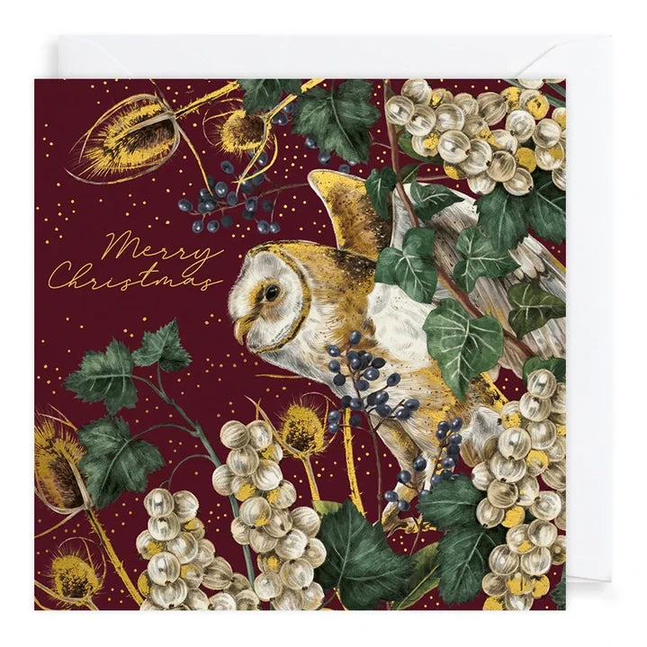 Christmas Cards 10 Pack Fable Hare and Owl WAX131 Owl Card