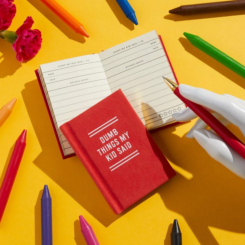 Dumb Things My Kids Said Tiny Diary