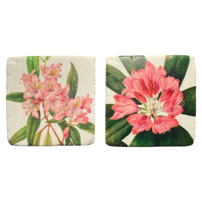 Gisela Graham Pink Rhododendron Resin Coaster 36563 selection