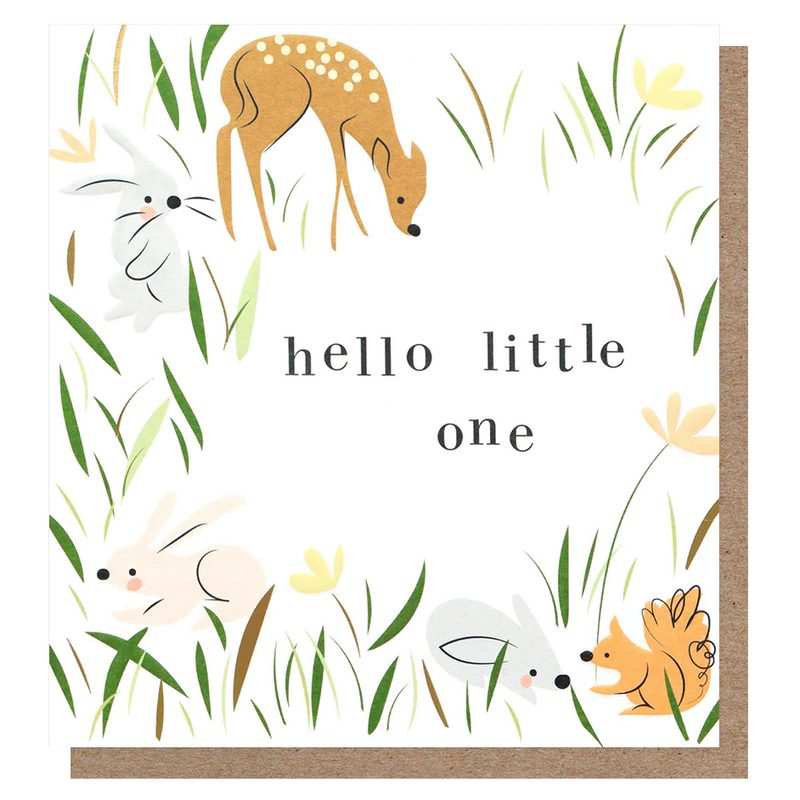 Hello Little One Woodland Animals New Baby Card BOB001 front