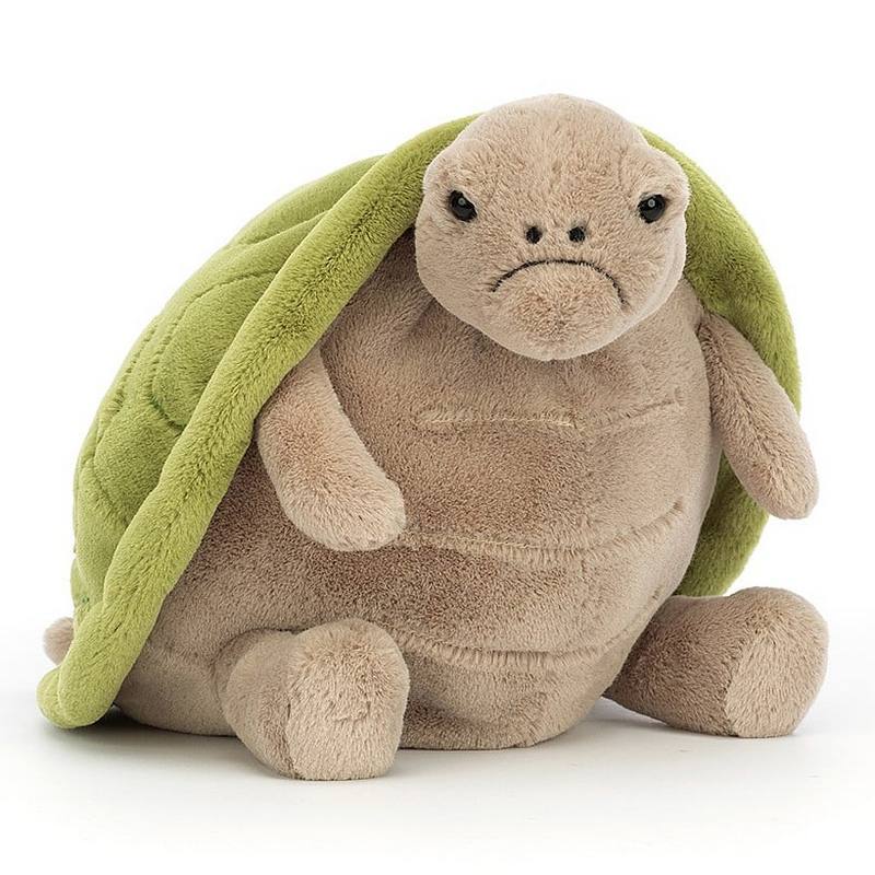 Timmy Turtle