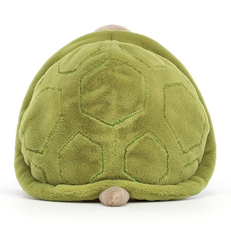 Timmy Turtle
