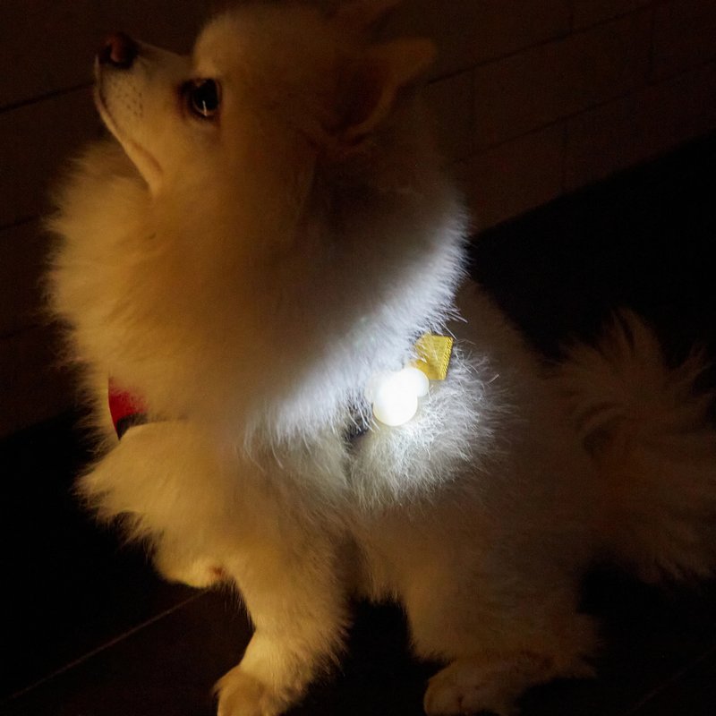 Kikkerland Light Up Dog Name Tag DIG34EU model