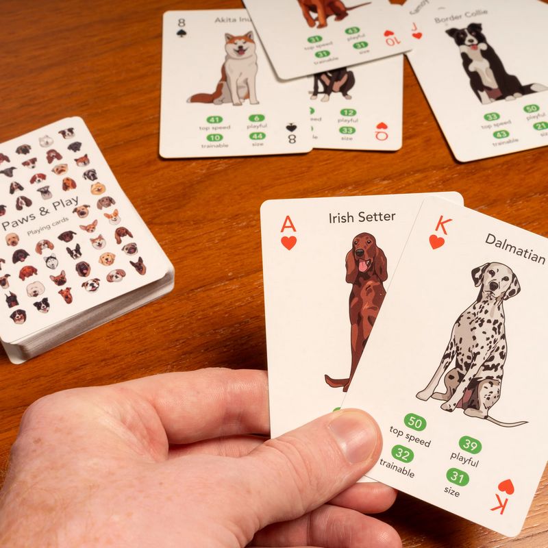 Kikkerland Paws & Play Playing Cards Pack lifestyle