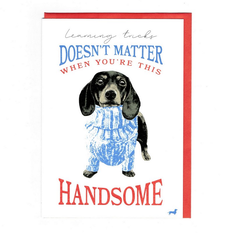 Learning Tricks Doesn't Matter Handsome Frank Card FK04 front