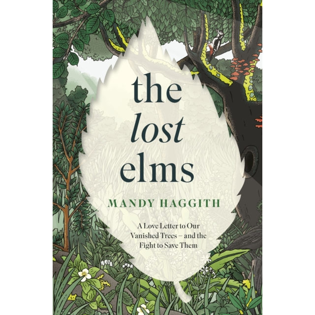 Lost Elms By Mandy Haggith Paperback Book front