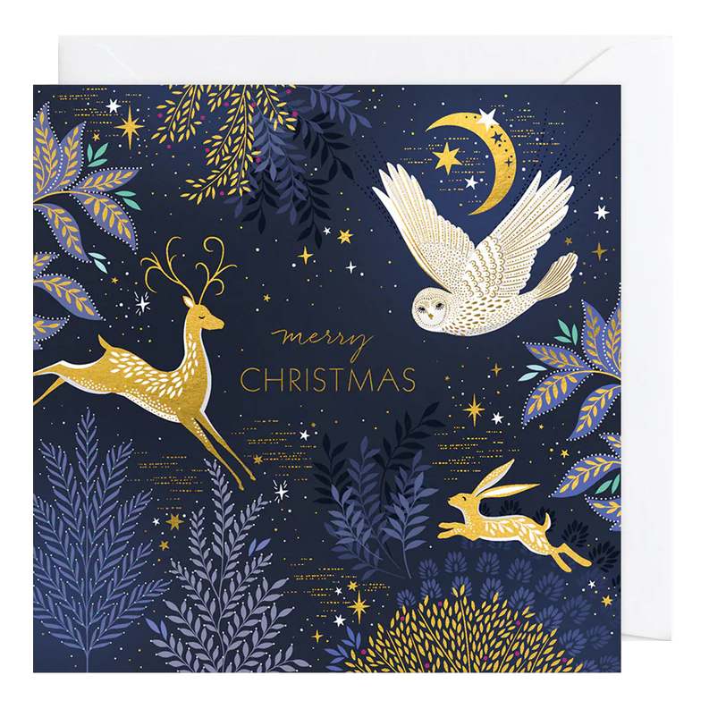 Luxury Christmas Cards Box of 8 Night Owl Sara Miller LBX118 card front