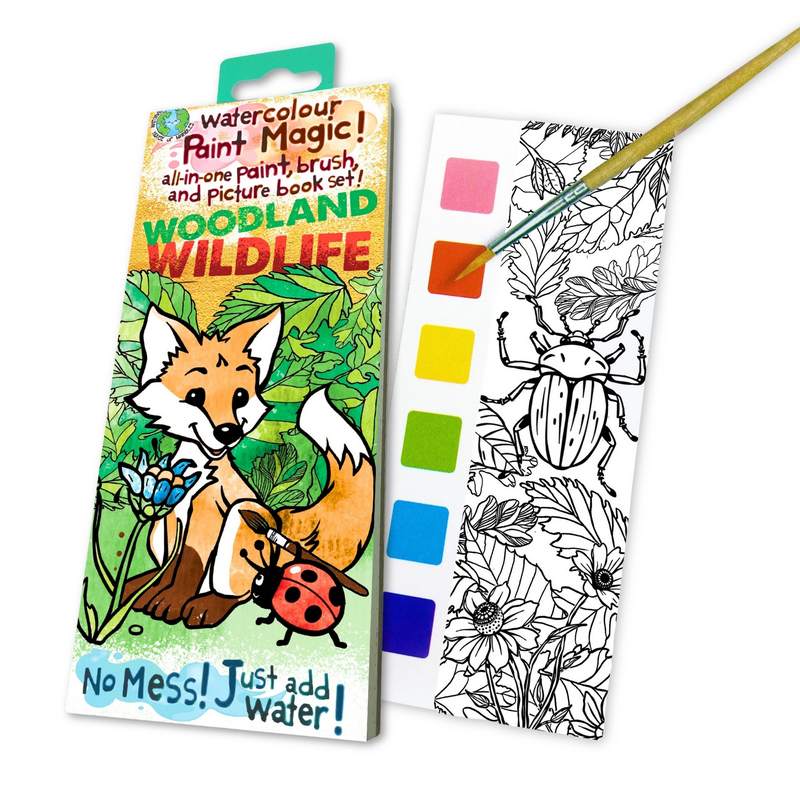 Paint Magic Woodland Wildlife book 220206 main main