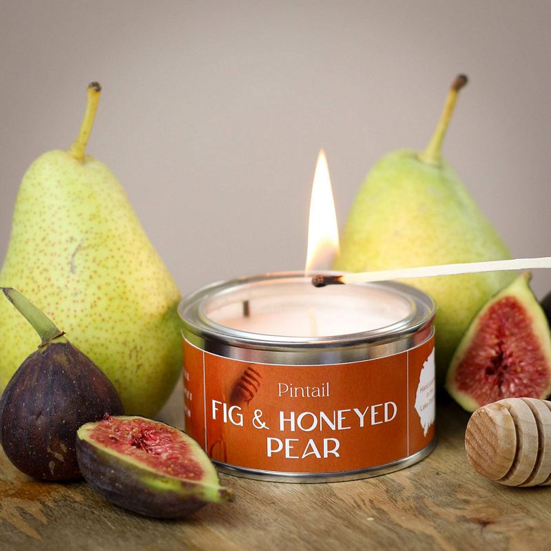 Pintail Candle Fig and Honeyed Pear Paintpot Tin lifestyle