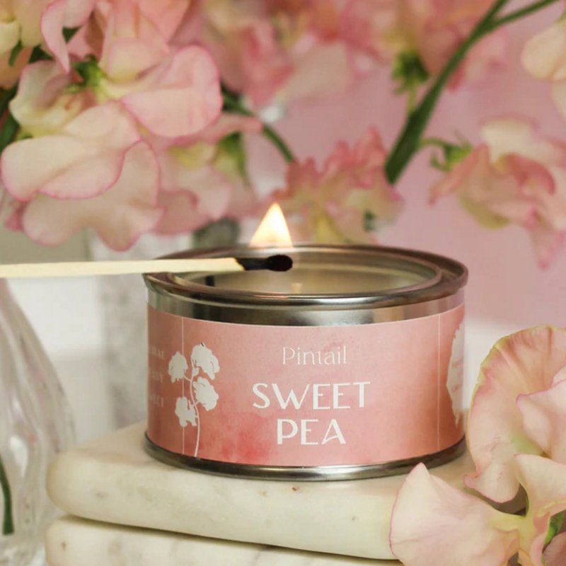 Pintail Candle Sweet Pea Paint Pot Candle lit