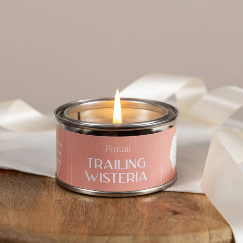 Pintail Candle Trailing Wisteria Paint Pot Candle lit