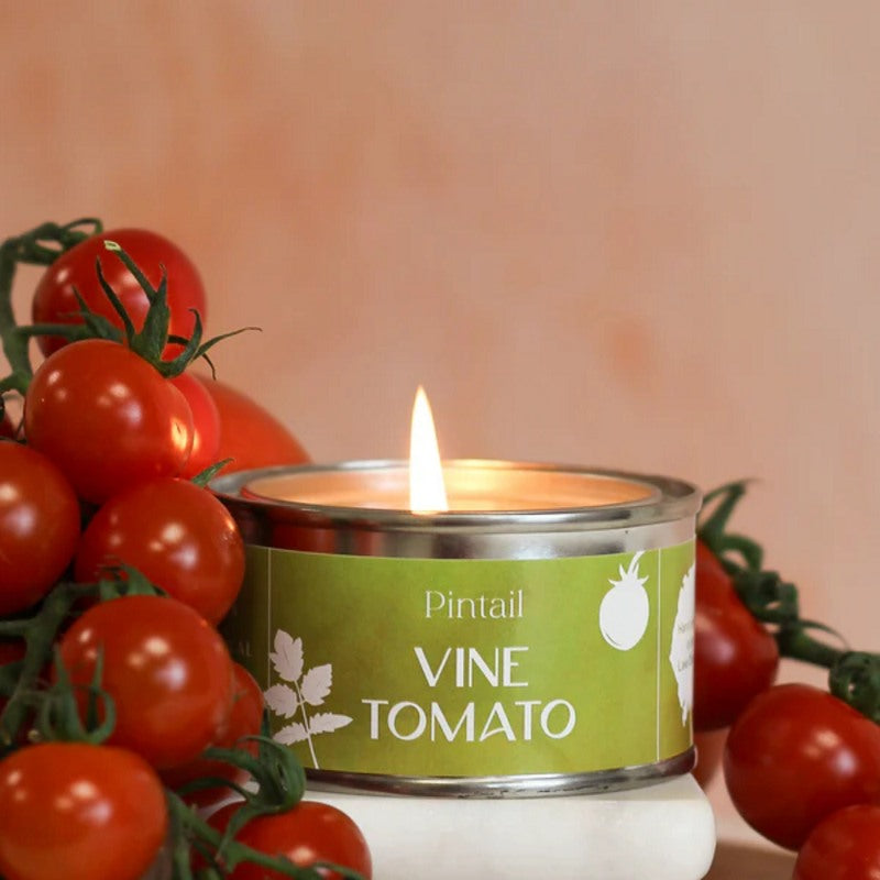 Pintail Candle Vine Tomato Paint Pot Candle front