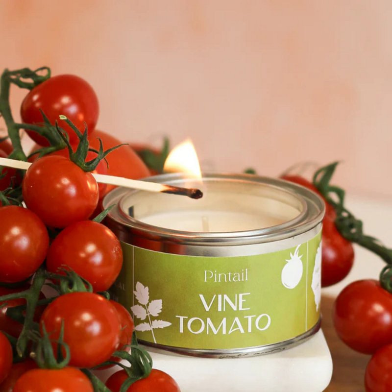 Pintail Candle Vine Tomato Paint Pot Candle lit