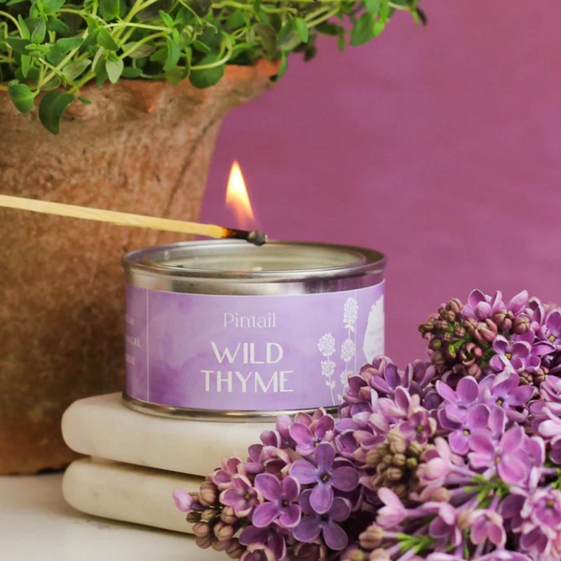 Pintail Candle Wild Thyme Paint Pot Candle lit