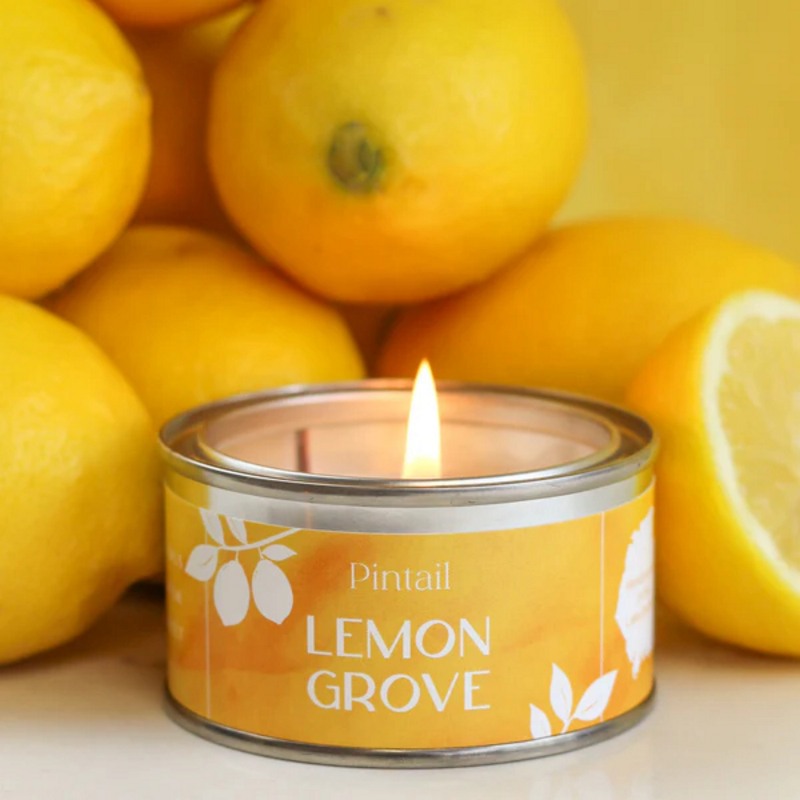 Pintail Candles Lemon Grove Paint Pot Candle lifestyle