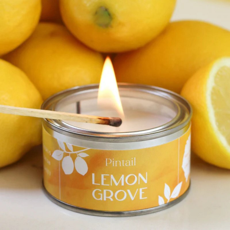 Pintail Candles Lemon Grove Paint Pot Candle lit