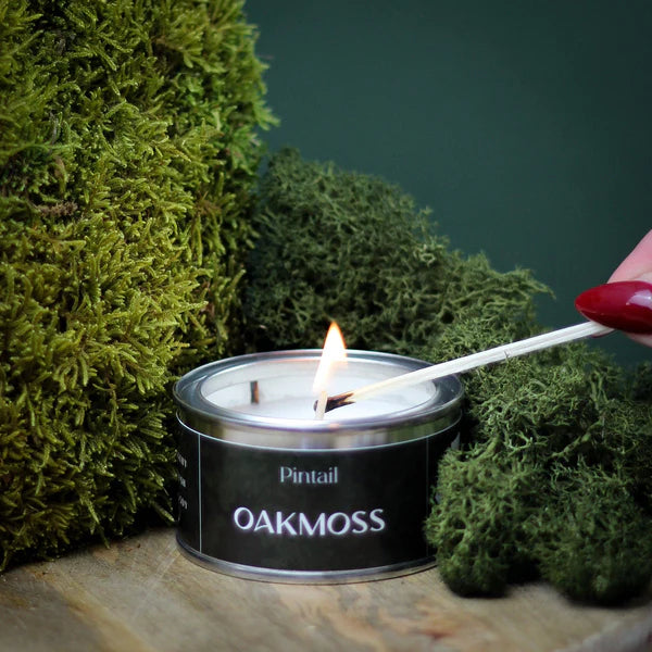 Pintail Candles Paintpot Tin Oakmoss being lit