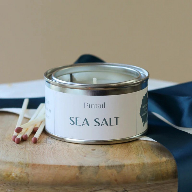 Pintail Candles Sea Salt Paint Pot Candle lid
