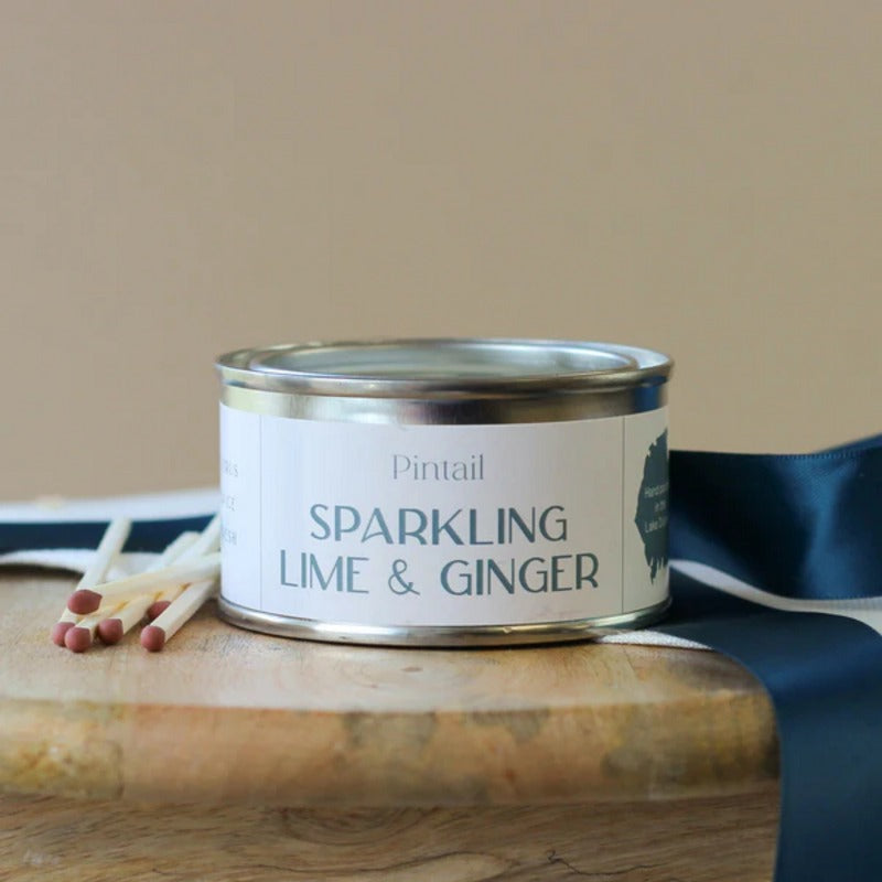 Pintail Candles Sparkling Lime & Ginger Paint Pot Candle lid
