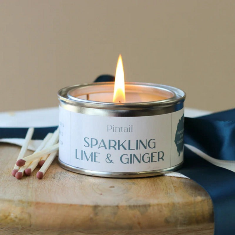 Pintail Candles Sparkling Lime & Ginger Paint Pot Candle lit