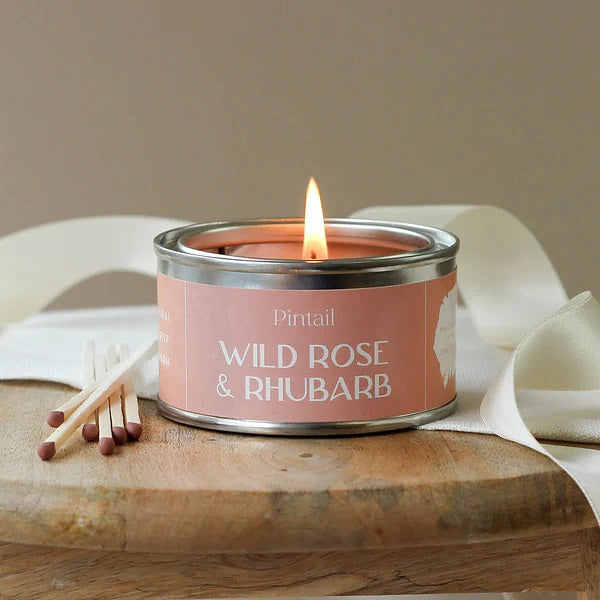 Pintail Candles Wild Rose & Rhubarb Paint Pot Candle 89ml alight