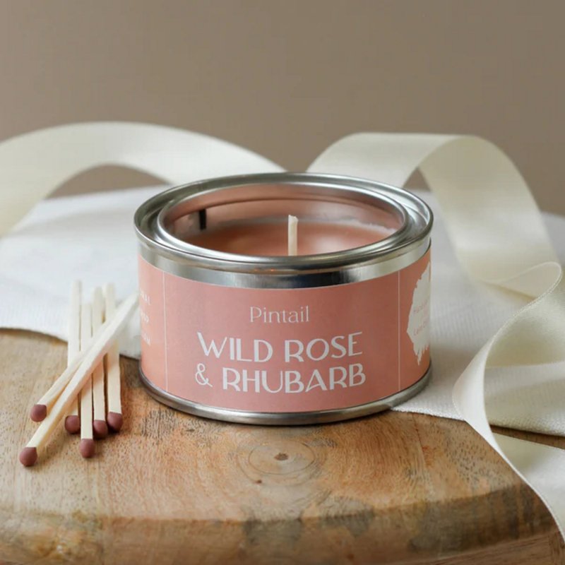 Pintail Candles Wild Rose & Rhubarb Paint Pot Candle unlit