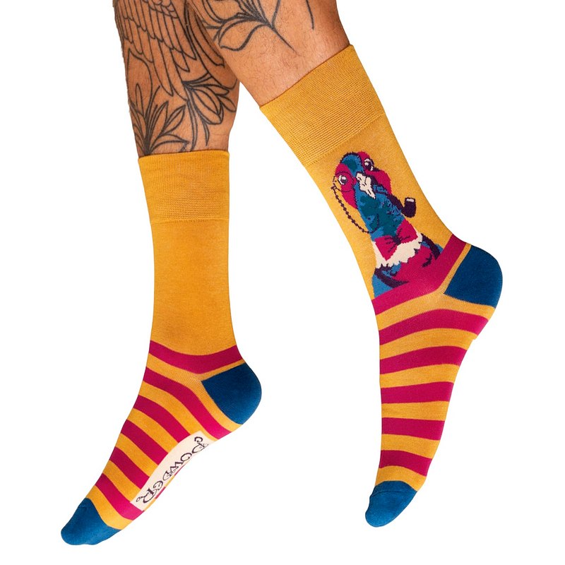 Powder Designs Woodland Gentry Pheasant Men's Socks MSOC126 main