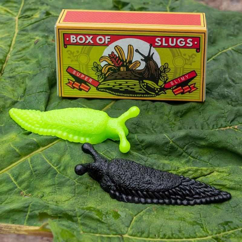 Rex International Box of 2 Slimy Slugs 29474 lifestyle