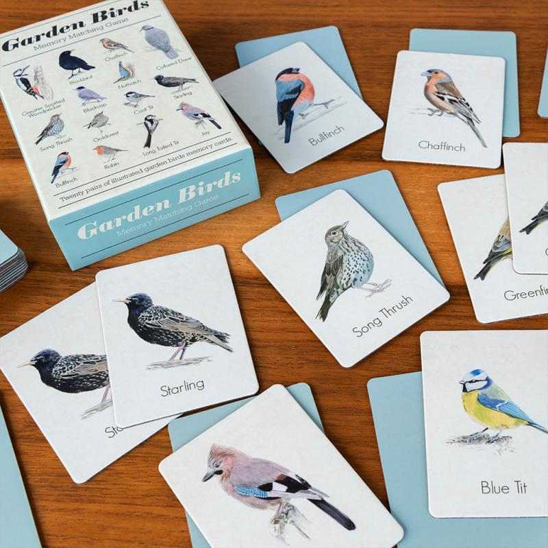 Rex International Memory Game Wild Birds 40 Pieces 30870 lifestyle