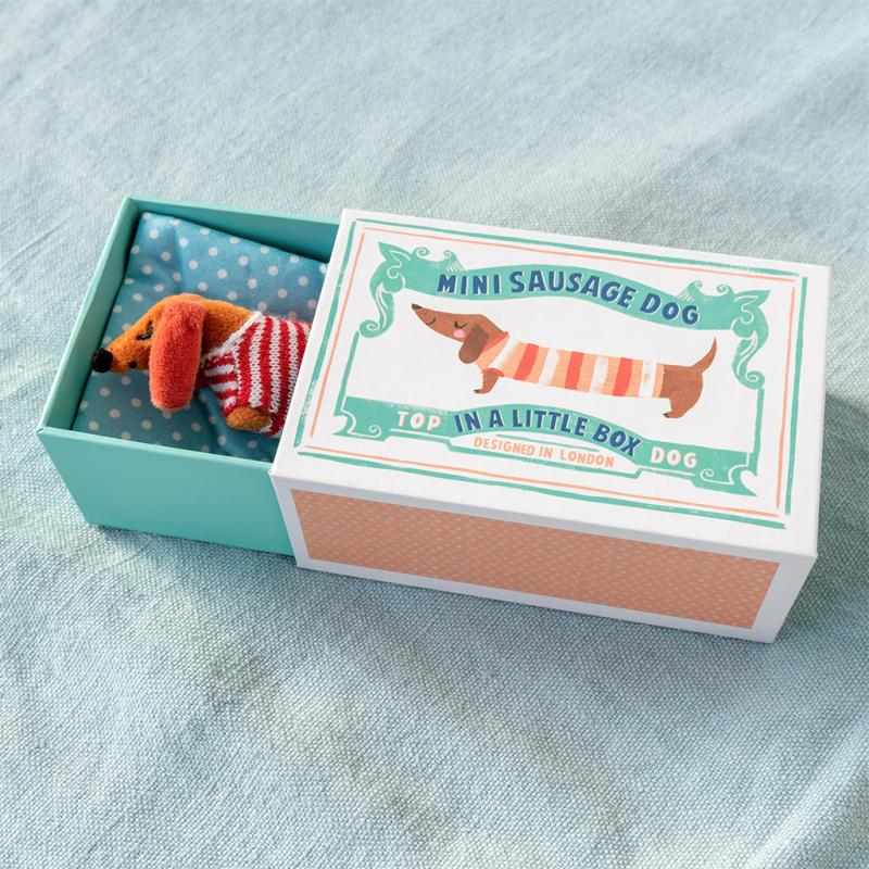 Rex International Mini Sausage Dog in a Little Box 29648 lifestyle