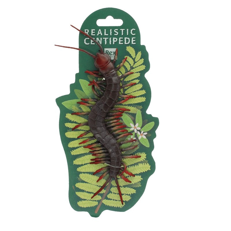 Rex International Realistic Centipede Toy 30879 main