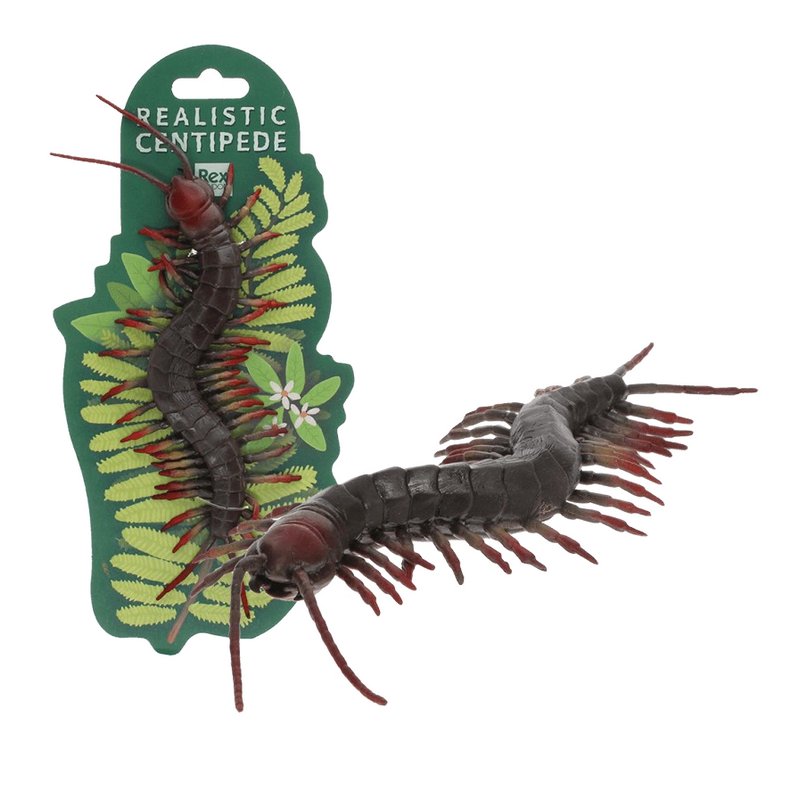 Rex International Realistic Centipede Toy 30879 packaging