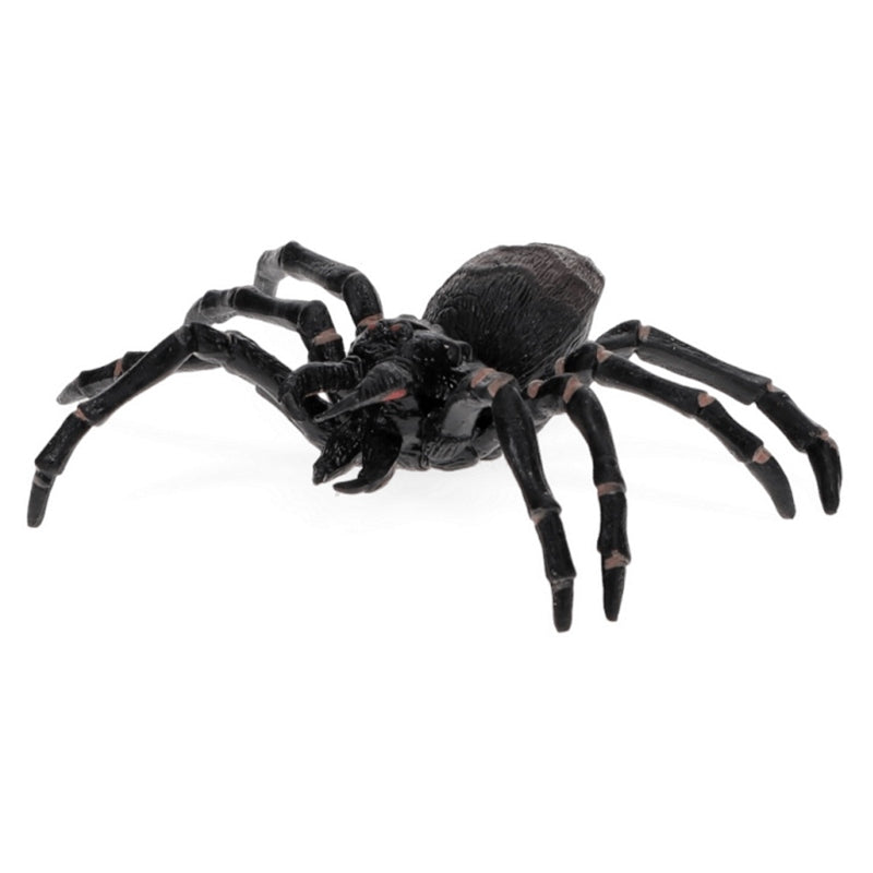Rex International Realistic Tarantula Toy 30878 front