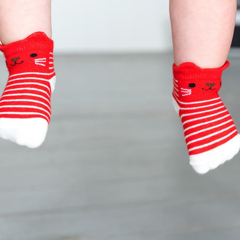 Rex London Kitten 4 Pairs Baby Socks 27478 on baby