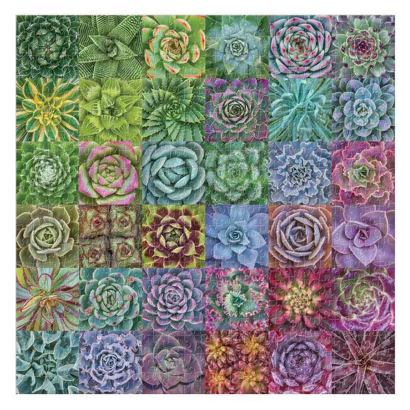 Succulent Spectrum 500 Piece Jigsaw Puzzle completed