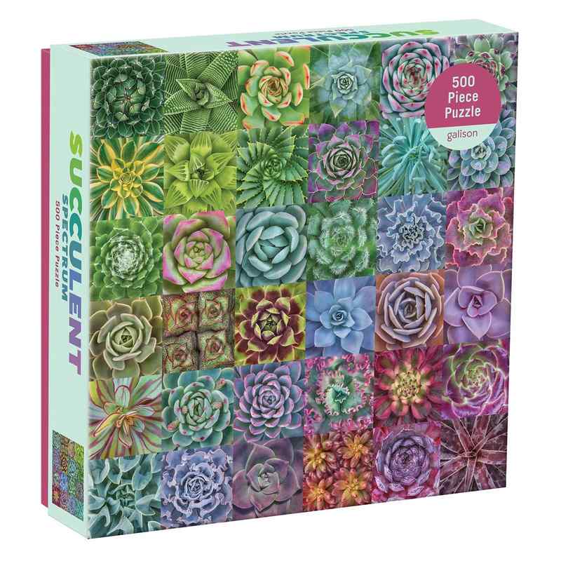 Succulent Spectrum 500 Piece Jigsaw Puzzle box front