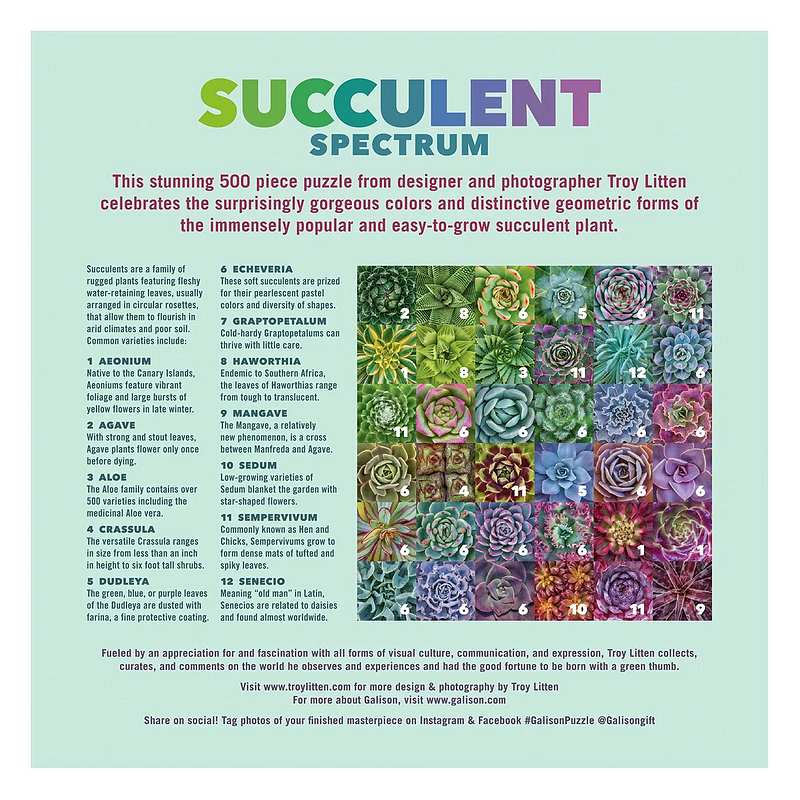 Succulent Spectrum 500 Piece Jigsaw Puzzle box rear